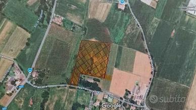 Terreno agricolo ideale per vigneto