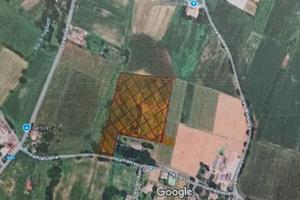 Terreno agricolo ideale per vigneto