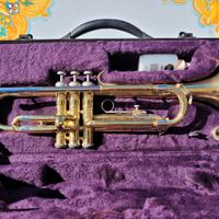 TROMBA OTTONE J. MICHAEL JAPANESE TECHNOLOGY ACCES