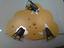 Immagine 5