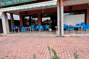 Bar trattoria avviata in gestione a riscatto