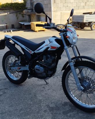 Beta Alp 200