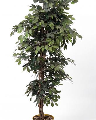 Ficus artificiale grande in vaso 2m
