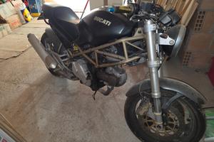Ducati monster 