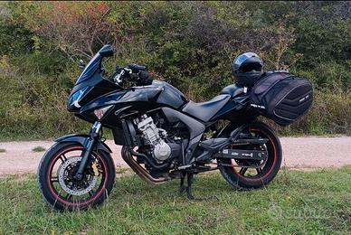 CBF 600