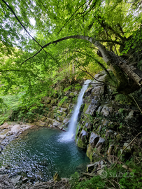 Casa Karmel-Foresta Incantata