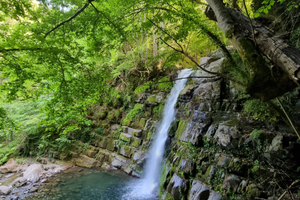 Casa Karmel-Foresta Incantata