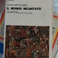 il mondo incantato