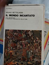 il mondo incantato
