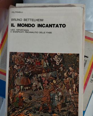 il mondo incantato