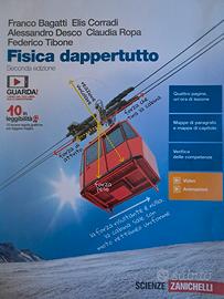 libro Fisica dappertutto