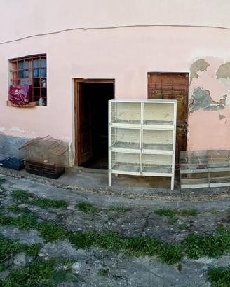 gabbie, batterie, voliera  per uccellini 