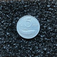 5 Lire 1956