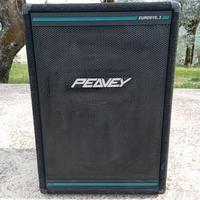 Cassa DJ Peavey Eurosys 3