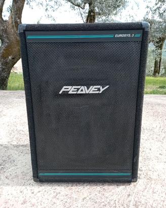 Cassa DJ Peavey Eurosys 3