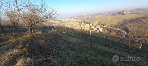 Terreno Agricolo Alba [1TVCG]