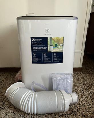 Condizionatore d’aria Elettrolux / VENDUTO