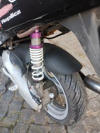 Aprilia sr 50 max Biagi