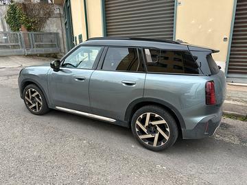 Mini D Favoured Countryman