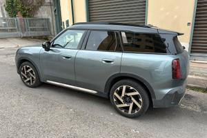 Mini D Favoured Countryman