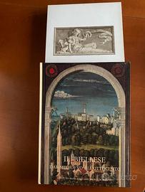 Il Biellese dal Medioevo all'Ottocento