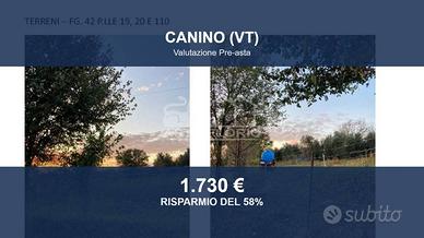 Immobile in asta di 12200 m² a Canino