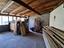 Immagine 28