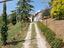 Immagine 22
