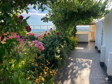 Attico/Mansarda - Alghero