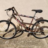 Bicicletta 50€