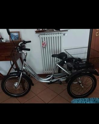 bicicletta tre ruote 
