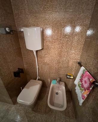 Cassetta wc Geberit
