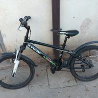 bici ragazzino/a