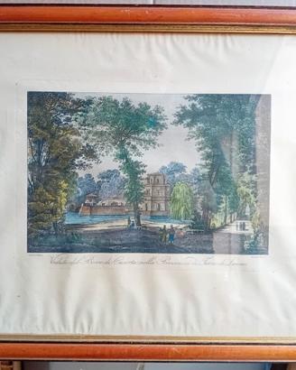 Stampa "Veduta del bosco di Caserta"