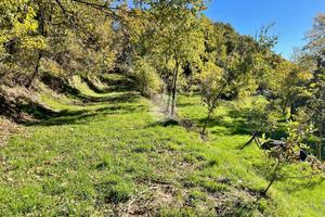 TER. AGRICOLO A CAPRINO VERONESE