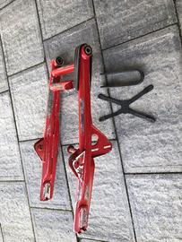 Forcellone per SWM RS125GS