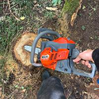 Motosega oleomac gsh400