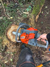 Motosega oleomac gsh400