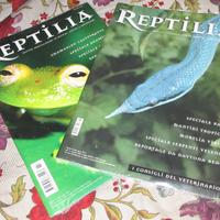 Reptilia n.7-8