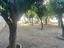 Immagine 26