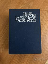 DIZIONARIO INGLESE