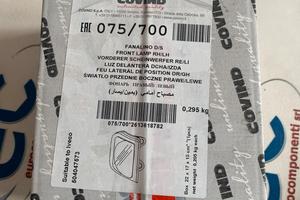 075/700 FANALINO FRECCIA ANTERIORE DESTRO/SINISTRO