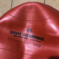 Palla gonfiabile esercizi propicettivi