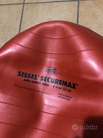 Palla gonfiabile esercizi propicettivi