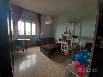 Camera grande per studentesse in condivisione
