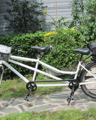 Tandem a pedalata assistita