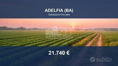 Immobile in asta di 2755 m² a Adelfia