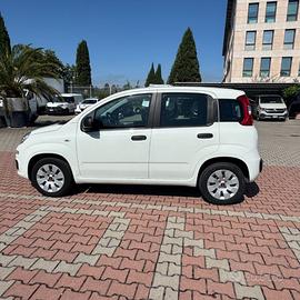 FIAT New Panda 1.2 POP AZIENDALE GUIDABILE DA NE