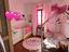 Immagine 17