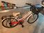 Immagine 2